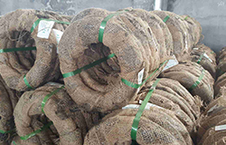 Annealed wire